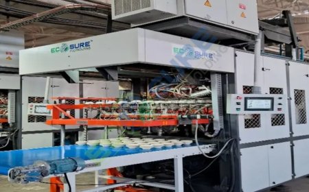 Ecosurepulpmolding Technologies  Ecotech III Pulpmolding Machinery Manufacturer Habibpur 4.1