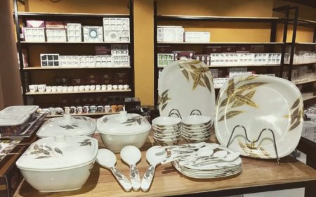 Karamchari Laghu Udyog Crockery Mujesar Premier Crockery Manufacturing and Export Solutions Faridabad 4.9